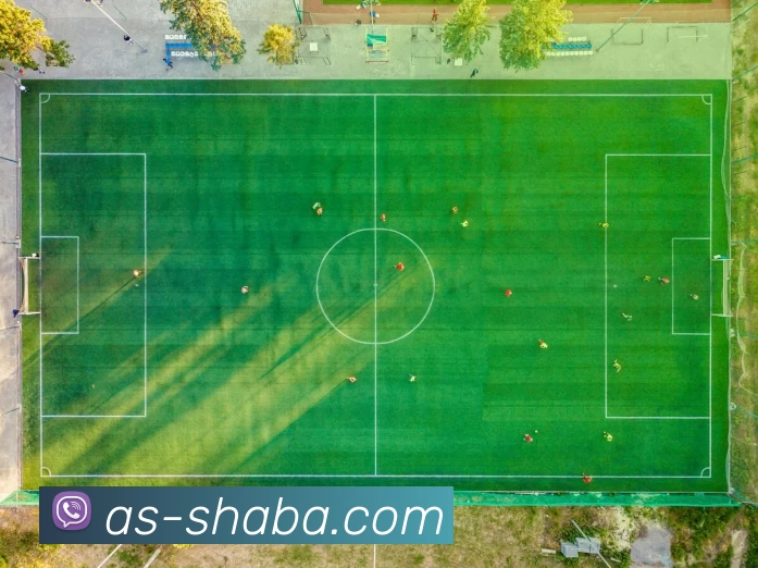 沙巴体育平台平台生态图